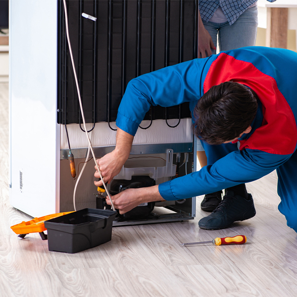 what are the common refrigerator repair services in Palisades